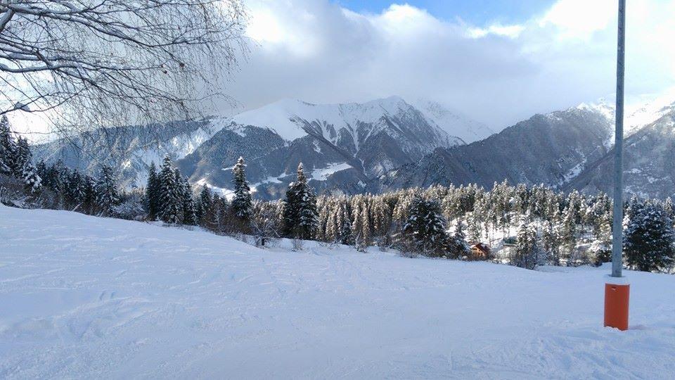 Dodo Japaridze Guesthouse Mestia Zewnętrze zdjęcie