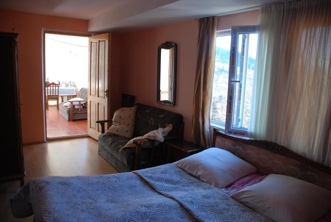 Dodo Japaridze Guesthouse Mestia Zewnętrze zdjęcie